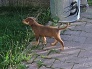 Filip